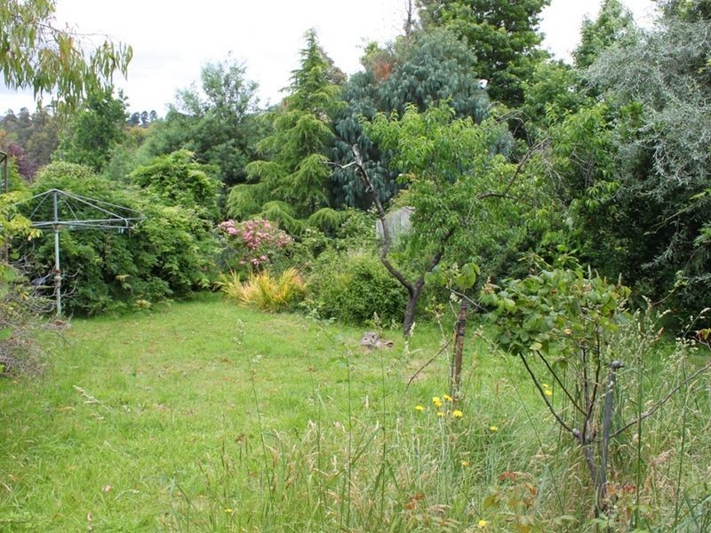 Healesville VIC 3777