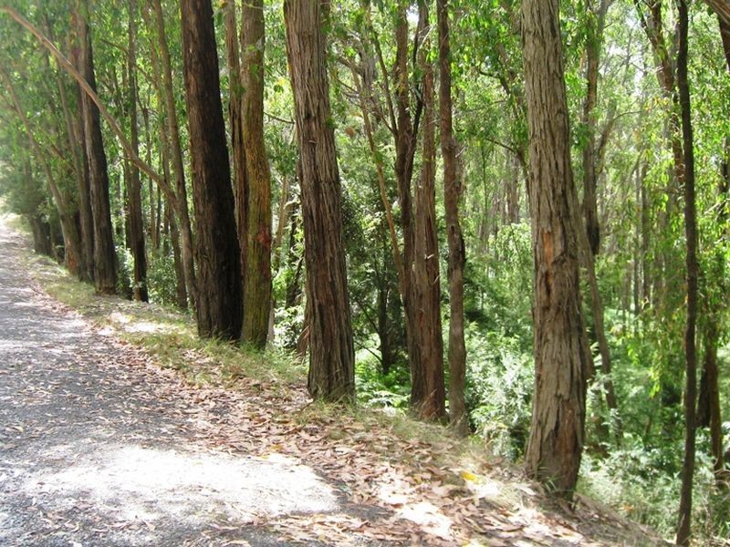 Healesville VIC 3777