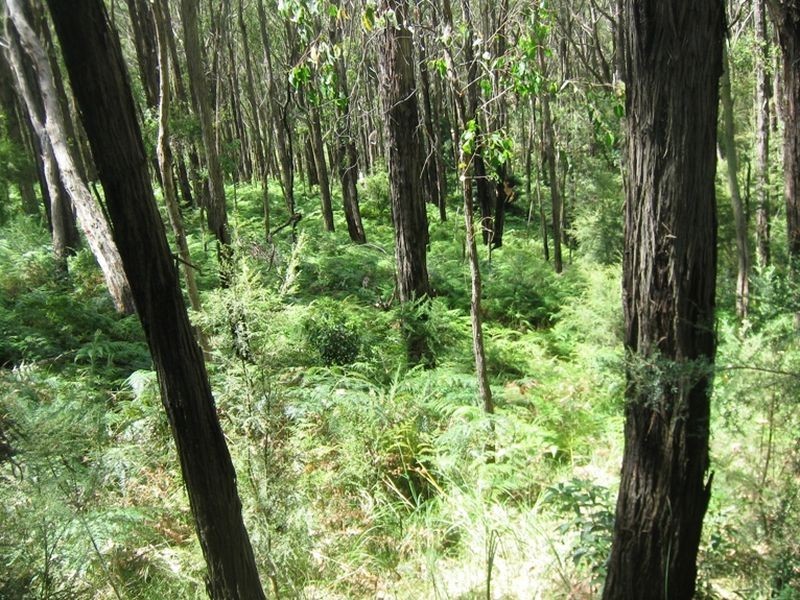 Healesville VIC 3777