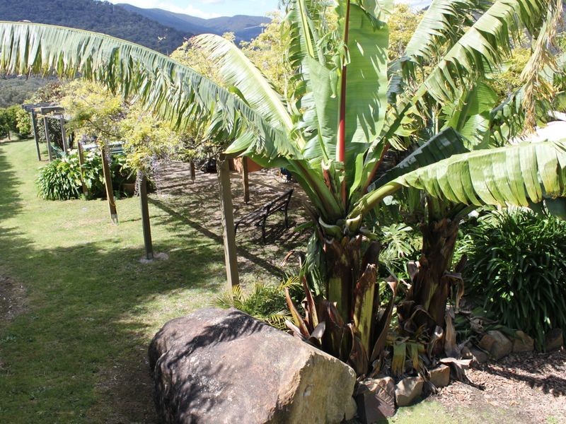 Healesville VIC 3777