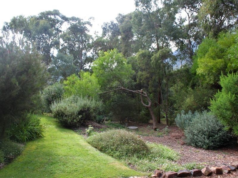 Healesville VIC 3777