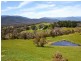 Healesville VIC 3777
