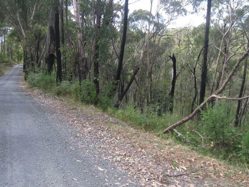 199 Lowes Road, Healesville VIC 3777