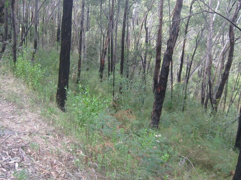 199 Lowes Road, Healesville VIC 3777