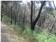 199 Lowes Road, Healesville VIC 3777