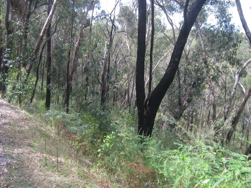 199 Lowes Road, Healesville VIC 3777