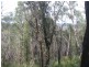 199 Lowes Road, Healesville VIC 3777