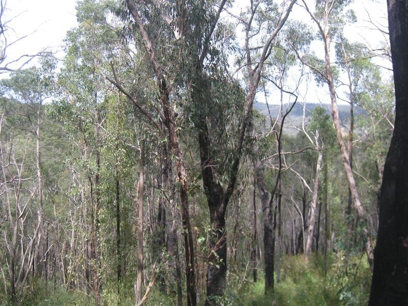 199 Lowes Road, Healesville VIC 3777