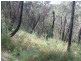 199 Lowes Road, Healesville VIC 3777