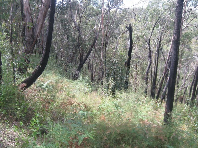 199 Lowes Road, Healesville VIC 3777