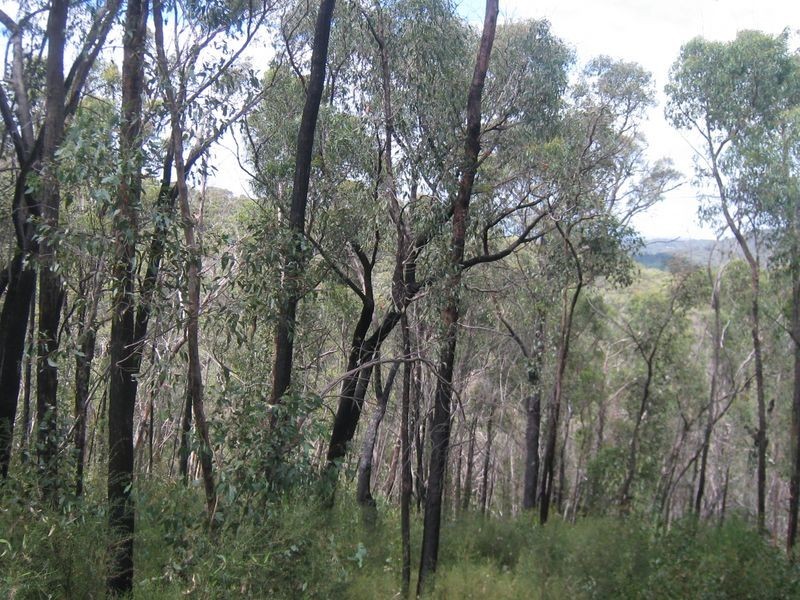199 Lowes Road, Healesville VIC 3777