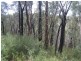 199 Lowes Road, Healesville VIC 3777