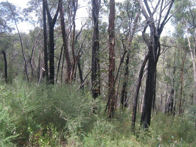 199 Lowes Road, Healesville VIC 3777