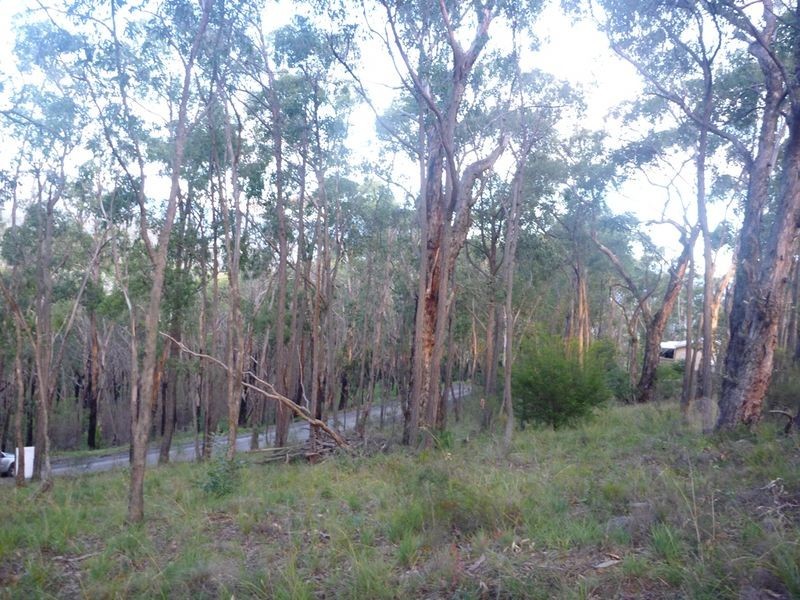169 lowes Road, Healesville VIC 3777