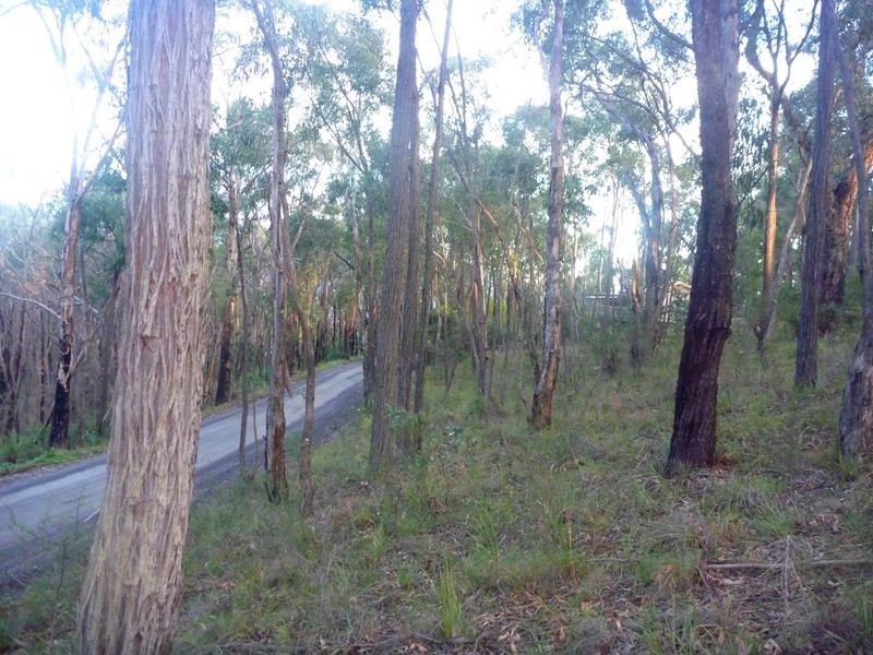 169 lowes Road, Healesville VIC 3777