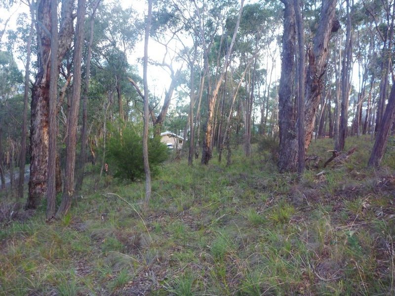 169 lowes Road, Healesville VIC 3777