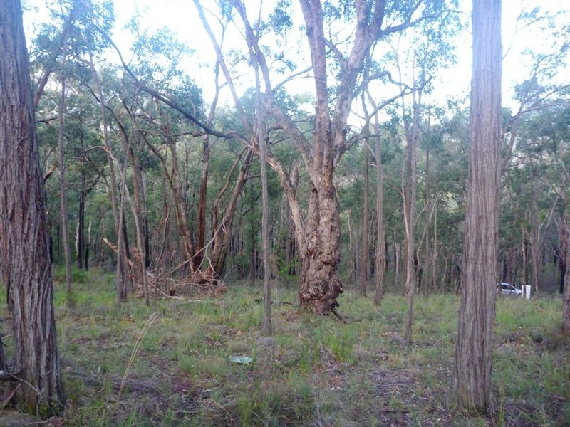 169 lowes Road, Healesville VIC 3777