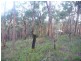 169 lowes Road, Healesville VIC 3777