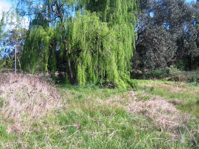 Healesville VIC 3777
