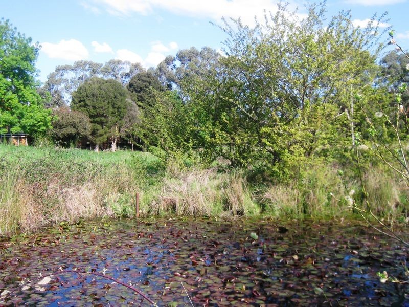 Healesville VIC 3777