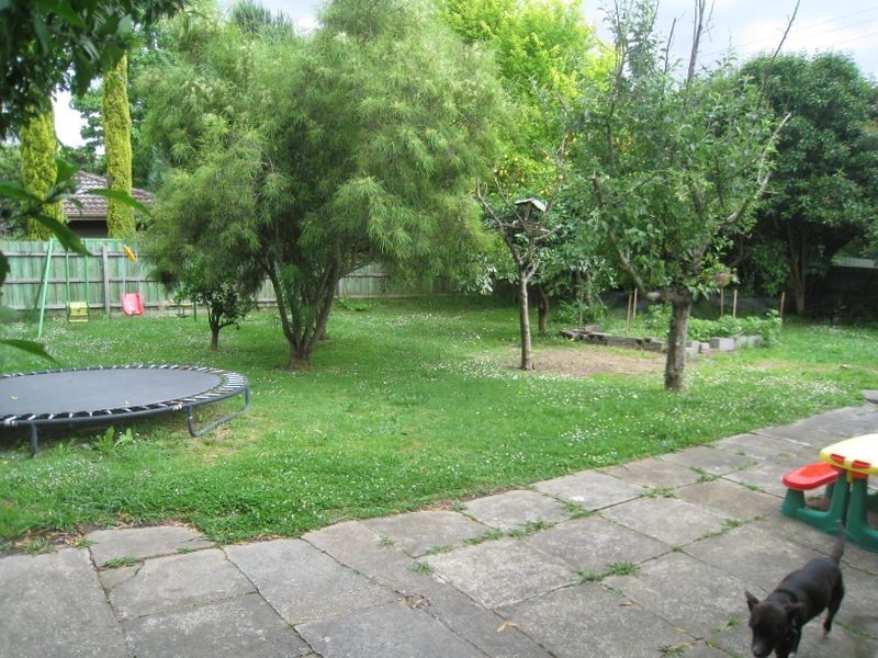 302 Don Road, Healesville VIC 3777