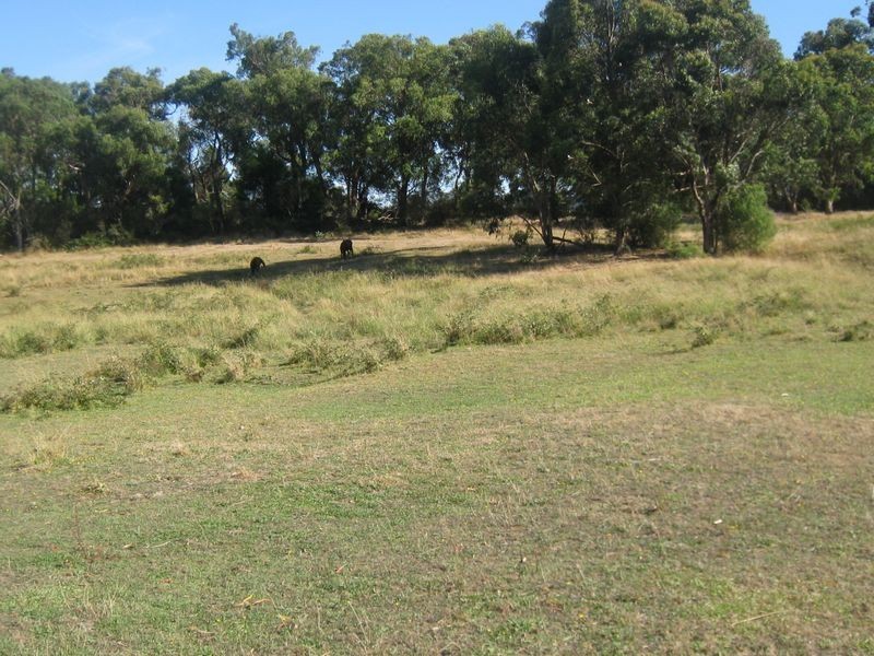 Healesville VIC 3777