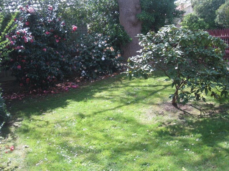 23 St Leonards Road, Healesville VIC 3777