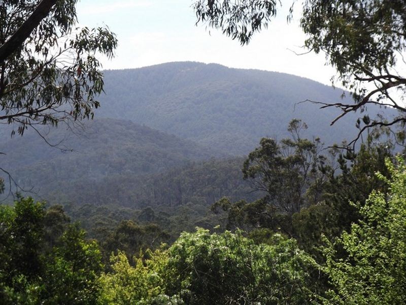 Healesville VIC 3777