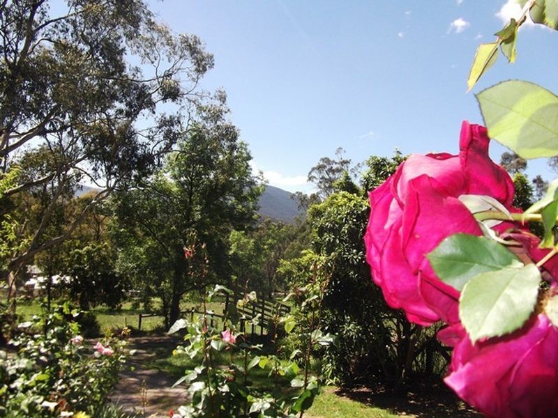 Healesville VIC 3777