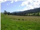 Healesville VIC 3777