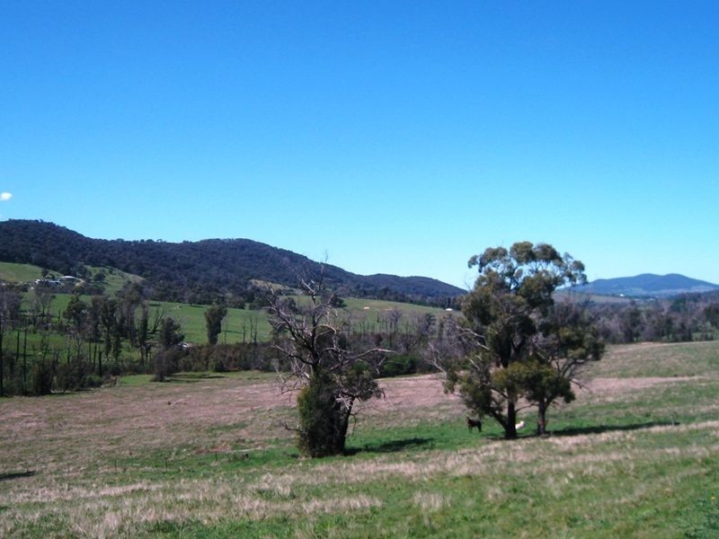 Healesville VIC 3777