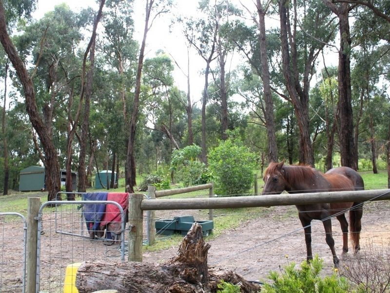 Healesville VIC 3777