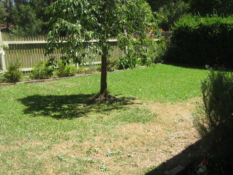 Healesville VIC 3777