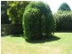 Healesville VIC 3777