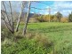 49 Badger Avenue, Badger Creek VIC 3777