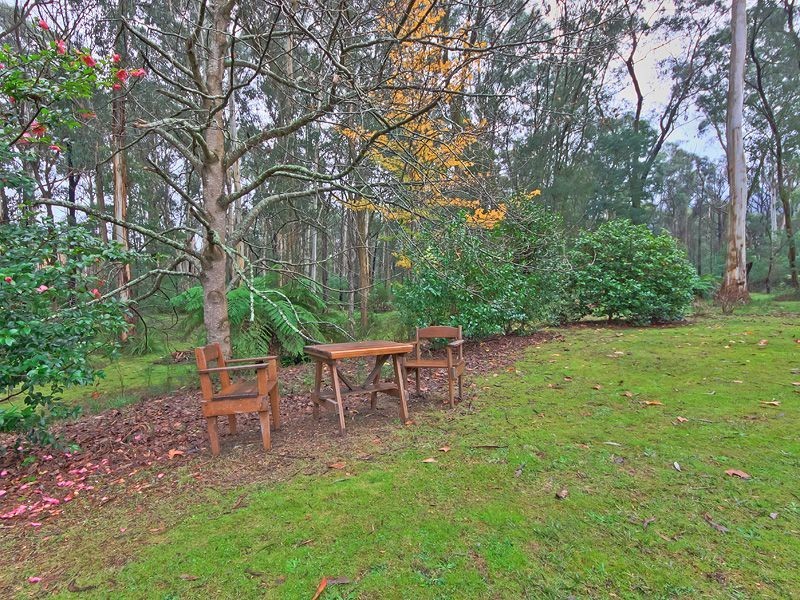 819 Chum Creek Road, Healesville VIC 3777