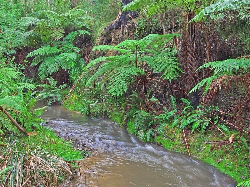 819 Chum Creek Road, Healesville VIC 3777