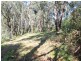8 Arlunya Road, Healesville VIC 3777
