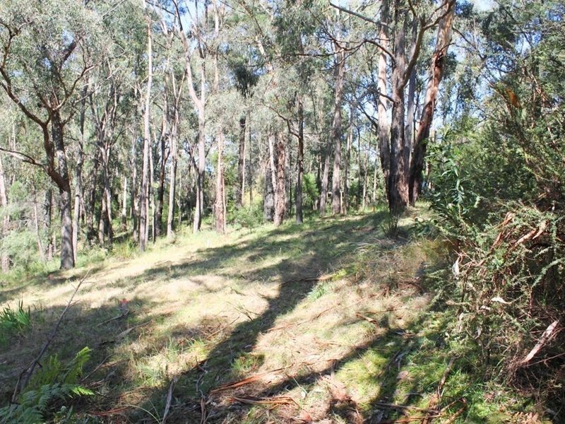 8 Arlunya Road, Healesville VIC 3777