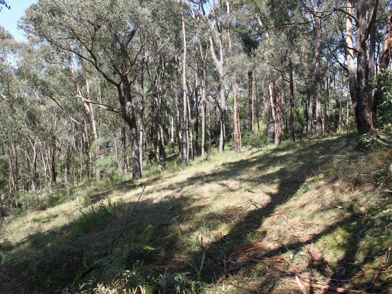8 Arlunya Road, Healesville VIC 3777