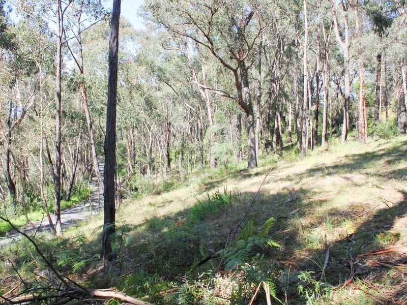 8 Arlunya Road, Healesville VIC 3777