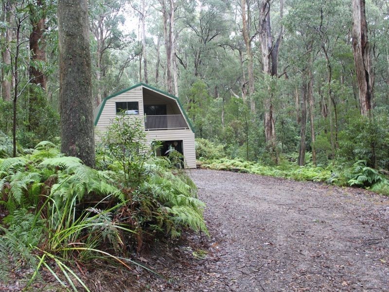243 Maroondah Highway, Narbethong VIC 3778