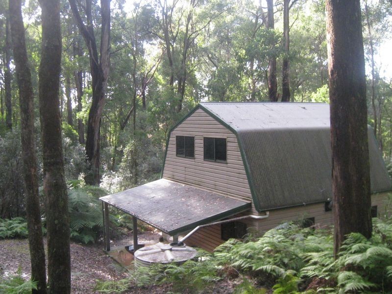 243 Maroondah Highway, Narbethong VIC 3778