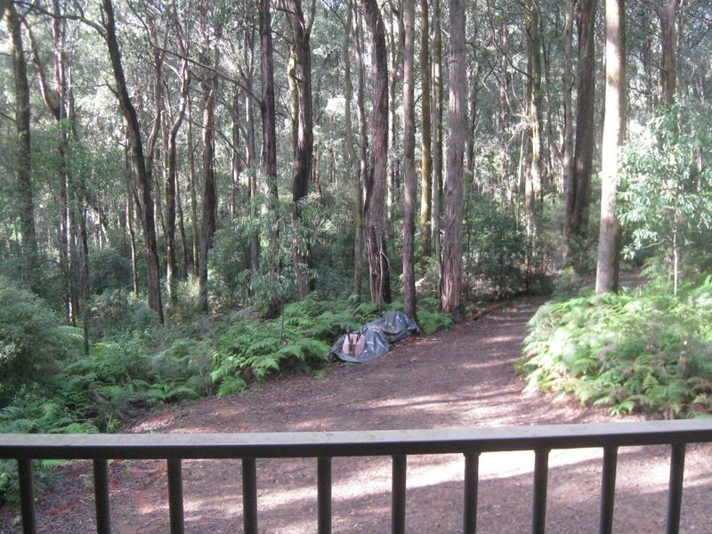 243 Maroondah Highway, Narbethong VIC 3778