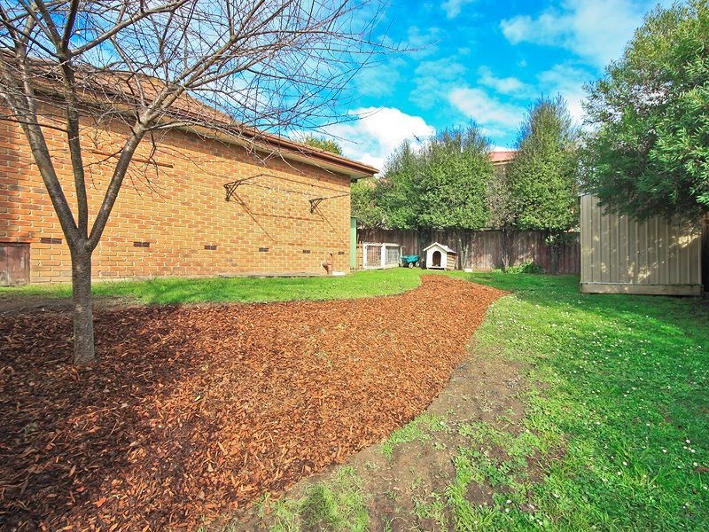 6 Currawong Road, Healesville VIC 3777