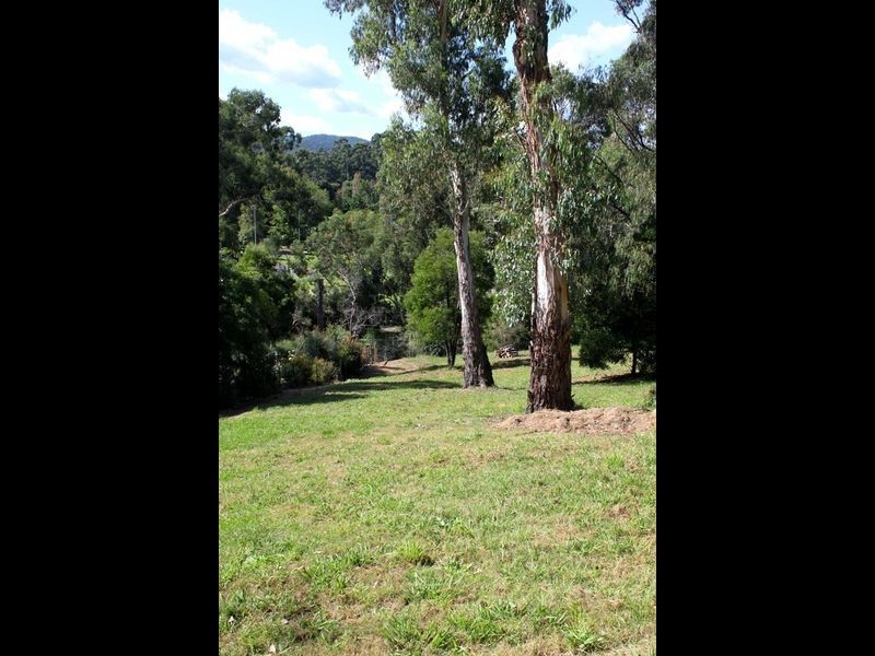 Healesville VIC 3777