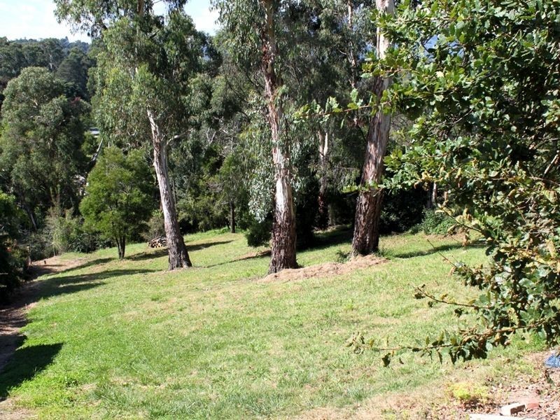 Healesville VIC 3777