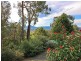 100 Healesville – Yarra Glen Road, Healesville VIC 3777