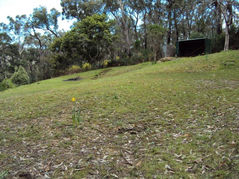 48 Warringah Drive, Chum Creek VIC 3777