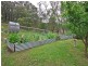 243 Myers Creek Road, Healesville VIC 3777
